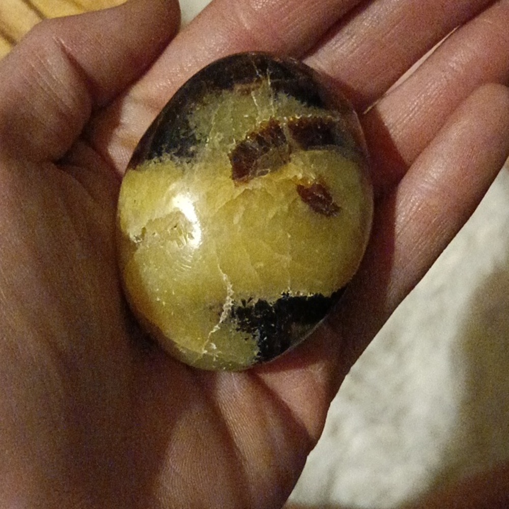 Serpentine Palm Stone serpent